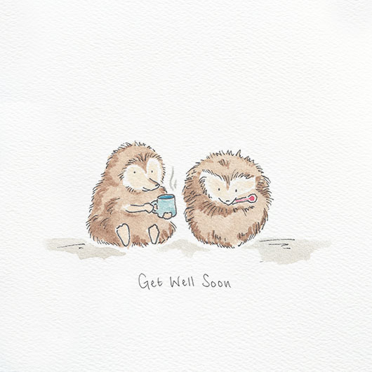 An image of two hedgehogs for a greetings card