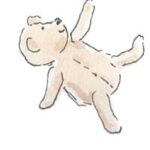 Bears