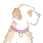 Dogs