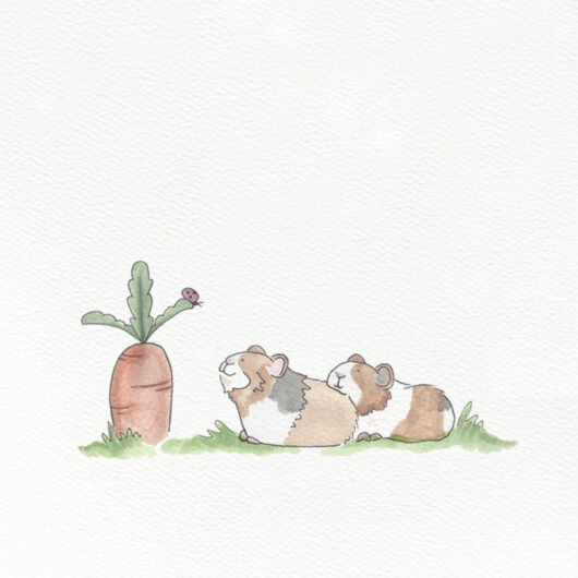 A greetings card with a pair of guinea pigs