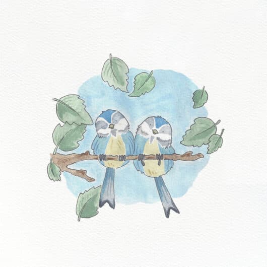 An illustration of two garden birds
