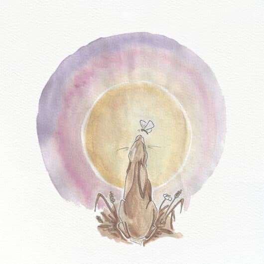 An illustration of a hare at sunset
