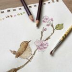 An artist drawing a wren for a card