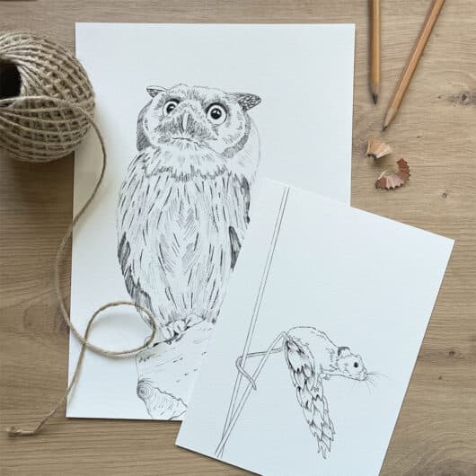 Fine art animal prints