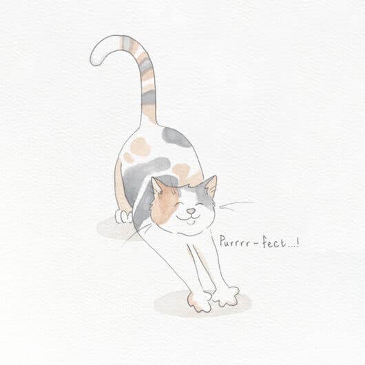 A cute cat watercolour drawing