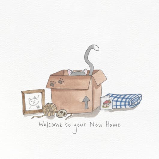 A new home card with a cat in a box