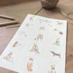 Animal stationery